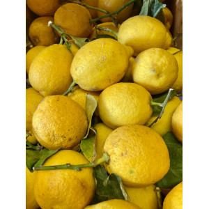 Lemons,by 3,about 500g