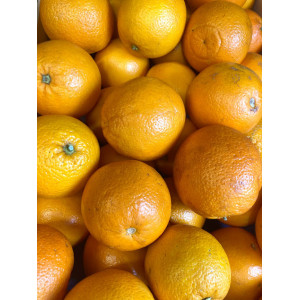 Oranges with juice, the...