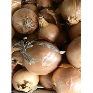 Onions, the 500 g, about 3